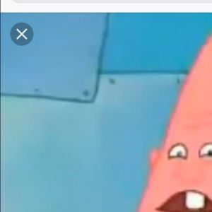 Meet your Posher, Audrey